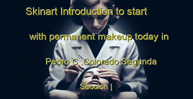 Skinart Introduction to start with permanent makeup today in Pedro C  Colorado Segunda Seccion | PermanentmakeupTraining | PermanentmakeupClasses | SkinartTraining-Mexico